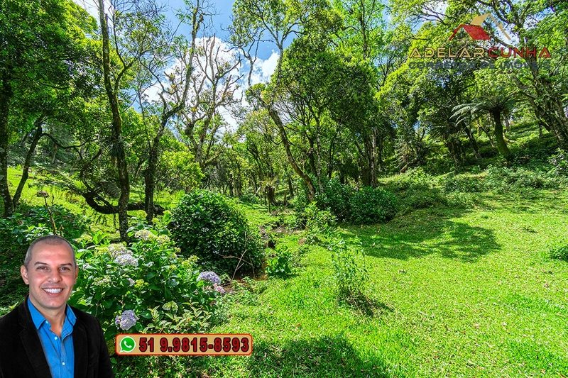 Chácara de 2 hectares à VENDA em São Francisco de Paula - RS: 56ª foto da galeria de imagens do imóvel