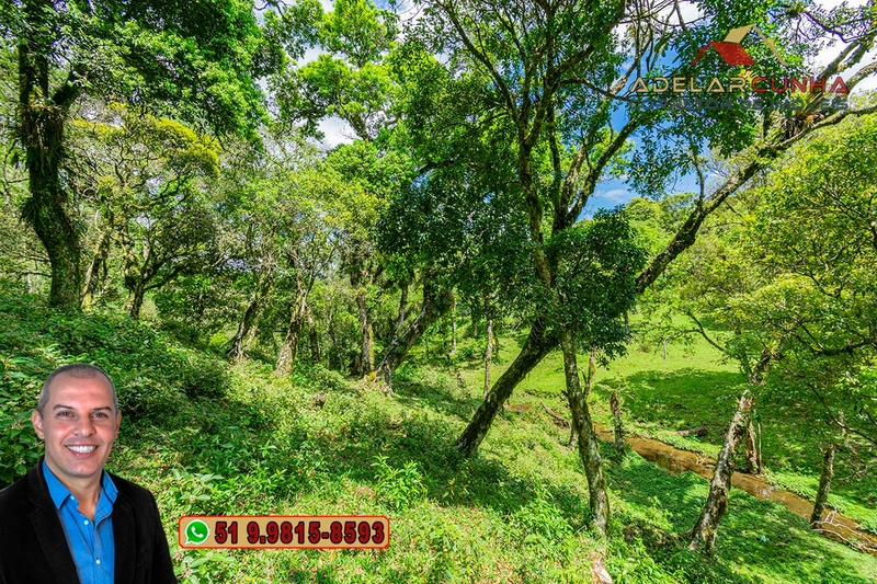 Chácara de 2 hectares à VENDA em São Francisco de Paula - RS: 33ª foto da galeria de imagens do imóvel