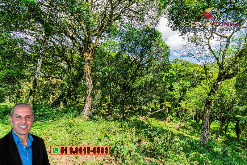 Chácara de 2 hectares à VENDA em São Francisco de Paula - RS: 30ª foto da galeria de imagens do imóvel