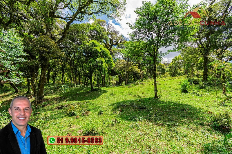 Chácara de 2 hectares à VENDA em São Francisco de Paula - RS: 8ª foto da galeria de imagens do imóvel
