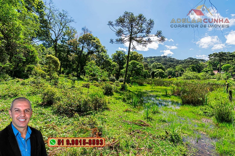 Chácara de 2 hectares à VENDA em São Francisco de Paula - RS: 37ª foto da galeria de imagens do imóvel