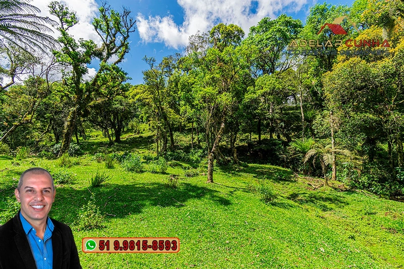Chácara de 2 hectares à VENDA em São Francisco de Paula - RS: 69ª foto da galeria de imagens do imóvel