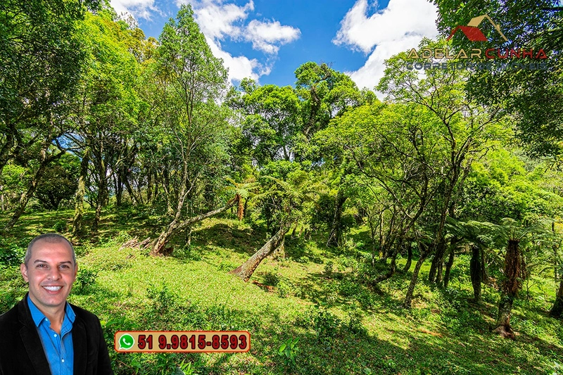 Chácara de 2 hectares à VENDA em São Francisco de Paula - RS: 11ª foto da galeria de imagens do imóvel