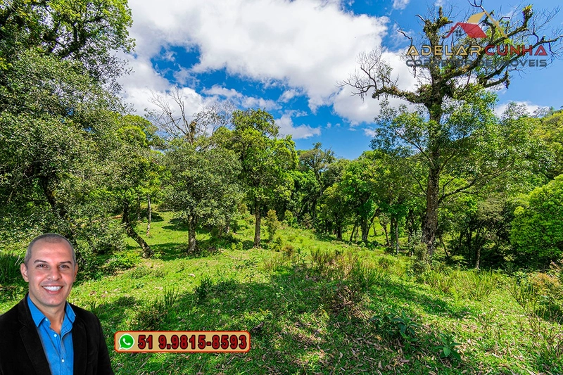 Chácara de 2 hectares à VENDA em São Francisco de Paula - RS: 33ª foto da galeria de imagens do imóvel