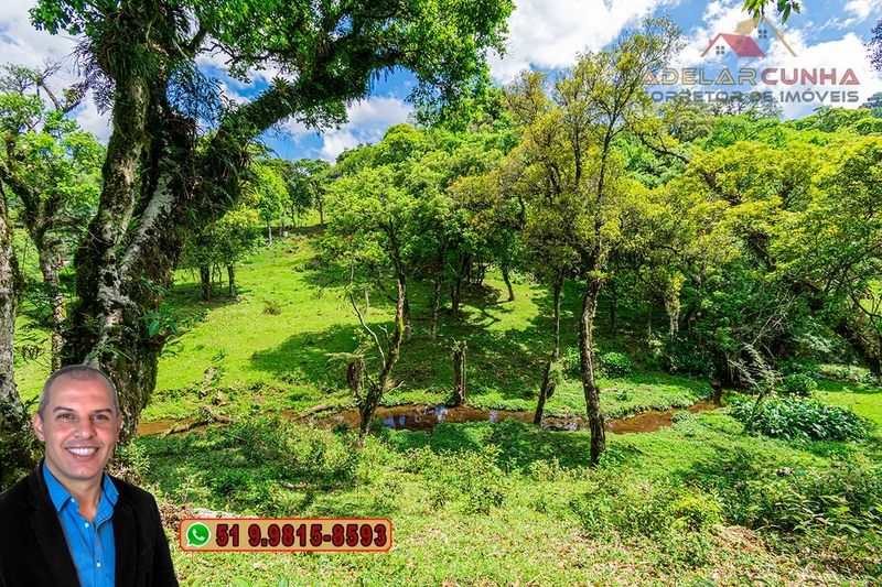 Chácara de 2 hectares à VENDA em São Francisco de Paula - RS: 34ª foto da galeria de imagens do imóvel