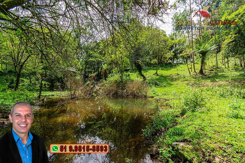 Chácara de 2 hectares à VENDA em São Francisco de Paula - RS: 3ª foto da galeria de imagens do imóvel