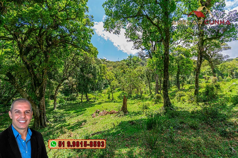 Chácara de 2 hectares à VENDA em São Francisco de Paula - RS: 45ª foto da galeria de imagens do imóvel