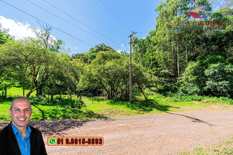 Chácara de 2 hectares à VENDA em São Francisco de Paula - RS: 2ª foto da galeria de imagens do imóvel