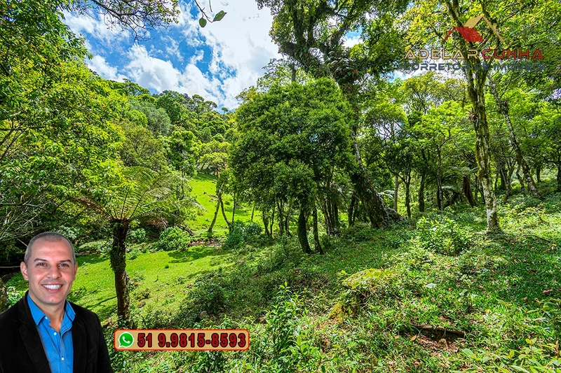 Chácara de 2 hectares à VENDA em São Francisco de Paula - RS: 22ª foto da galeria de imagens do imóvel
