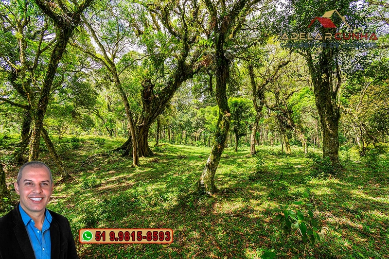 Chácara de 2 hectares à VENDA em São Francisco de Paula - RS: 14ª foto da galeria de imagens do imóvel