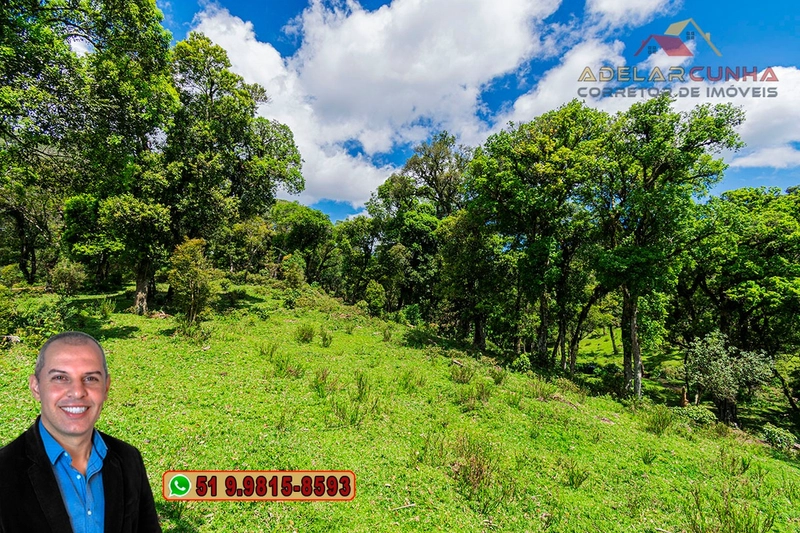 Chácara de 2 hectares à VENDA em São Francisco de Paula - RS: 54ª foto da galeria de imagens do imóvel
