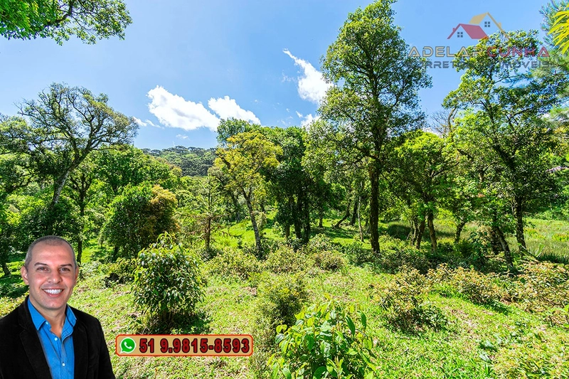 Chácara de 2 hectares à VENDA em São Francisco de Paula - RS: 36ª foto da galeria de imagens do imóvel