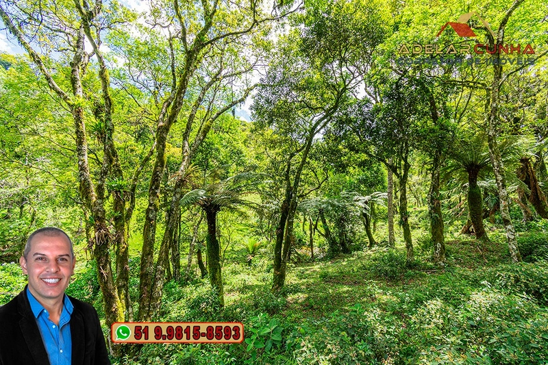 Chácara de 2 hectares à VENDA em São Francisco de Paula - RS: 16ª foto da galeria de imagens do imóvel