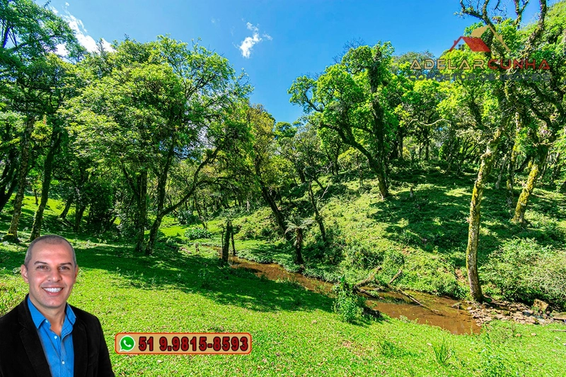 Chácara de 2 hectares à VENDA em São Francisco de Paula - RS: 13ª foto da galeria de imagens do imóvel
