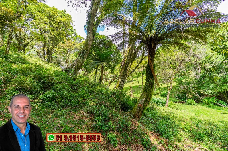 Chácara de 2 hectares à VENDA em São Francisco de Paula - RS: 30ª foto da galeria de imagens do imóvel