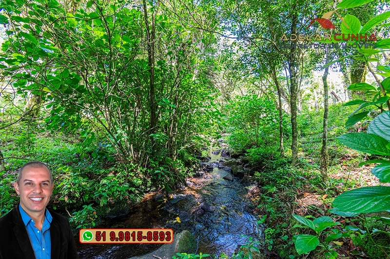 Chácara de 2 hectares à VENDA em São Francisco de Paula - RS: 59ª foto da galeria de imagens do imóvel