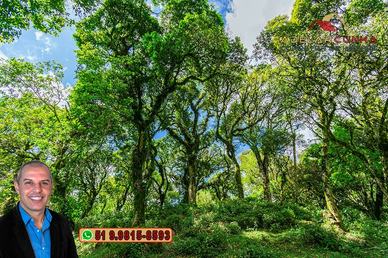 Chácara de 2 hectares à VENDA em São Francisco de Paula - RS: 29ª foto da galeria de imagens do imóvel