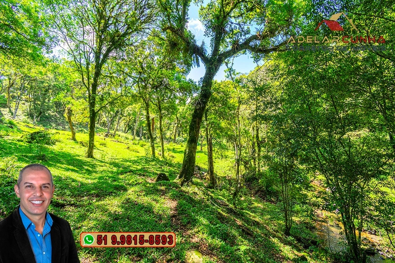 Chácara de 2 hectares à VENDA em São Francisco de Paula - RS: 14ª foto da galeria de imagens do imóvel