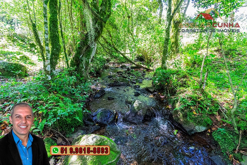 Chácara de 2 hectares à VENDA em São Francisco de Paula - RS: 58ª foto da galeria de imagens do imóvel