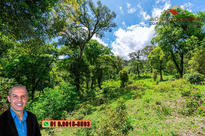 Chácara de 2 hectares à VENDA em São Francisco de Paula - RS: 57ª foto da galeria de imagens do imóvel