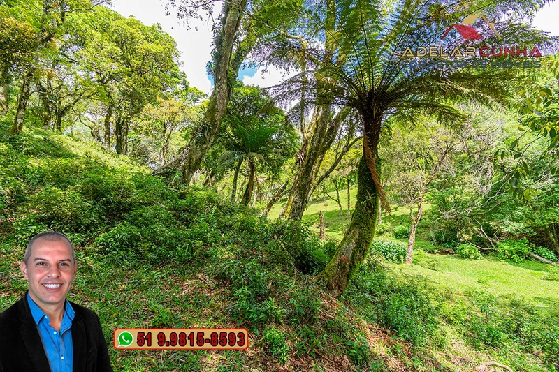 Chácara de 2 hectares à VENDA em São Francisco de Paula - RS: 17ª foto da galeria de imagens do imóvel