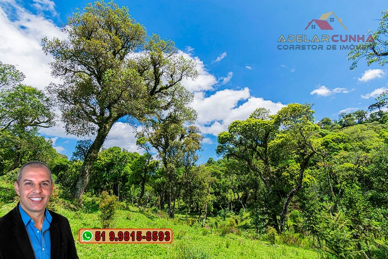 Chácara de 2 hectares à VENDA em São Francisco de Paula - RS: 34ª foto da galeria de imagens do imóvel