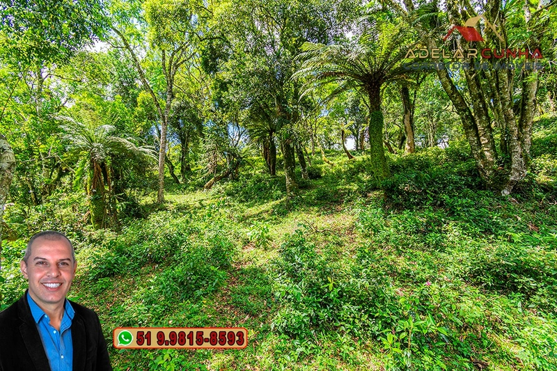 Chácara de 2 hectares à VENDA em São Francisco de Paula - RS: 50ª foto da galeria de imagens do imóvel