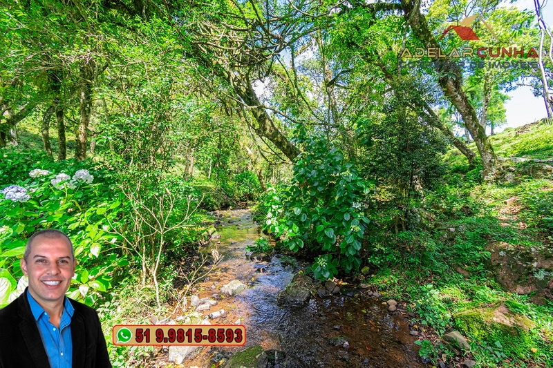 Chácara de 2 hectares à VENDA em São Francisco de Paula - RS: 8ª foto da galeria de imagens do imóvel