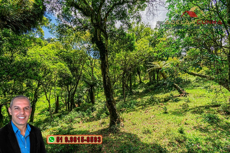 Chácara de 2 hectares à VENDA em São Francisco de Paula - RS: 18ª foto da galeria de imagens do imóvel