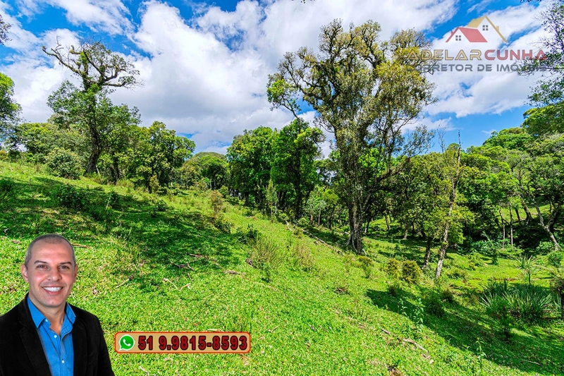 Chácara de 2 hectares à VENDA em São Francisco de Paula - RS: 48ª foto da galeria de imagens do imóvel