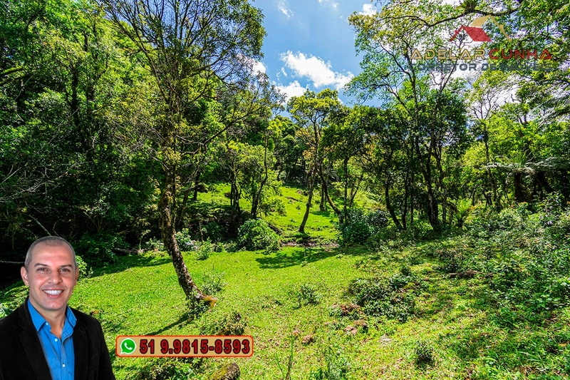 Chácara de 2 hectares à VENDA em São Francisco de Paula - RS: 1ª foto da galeria de imagens do imóvel