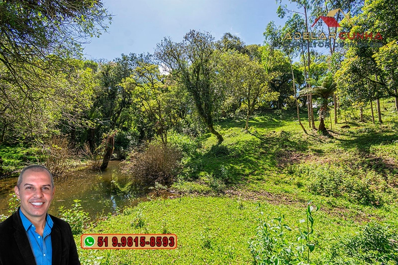 Chácara de 2 hectares à VENDA em São Francisco de Paula - RS: 4ª foto da galeria de imagens do imóvel