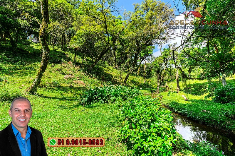 Chácara de 2 hectares à VENDA em São Francisco de Paula - RS: 57ª foto da galeria de imagens do imóvel