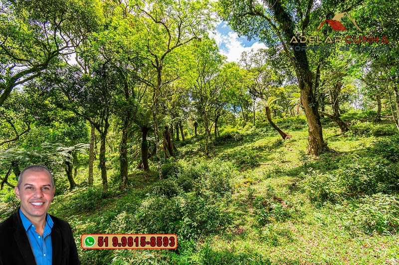 Chácara de 2 hectares à VENDA em São Francisco de Paula - RS: 15ª foto da galeria de imagens do imóvel
