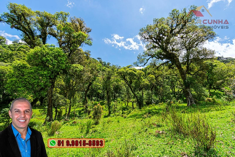 Chácara de 2 hectares à VENDA em São Francisco de Paula - RS: 40ª foto da galeria de imagens do imóvel