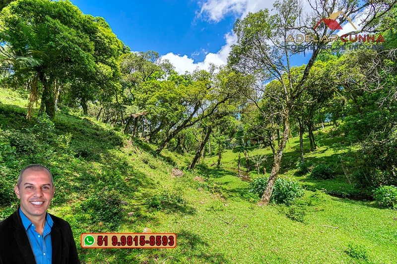 Chácara de 2 hectares à VENDA em São Francisco de Paula - RS: 49ª foto da galeria de imagens do imóvel