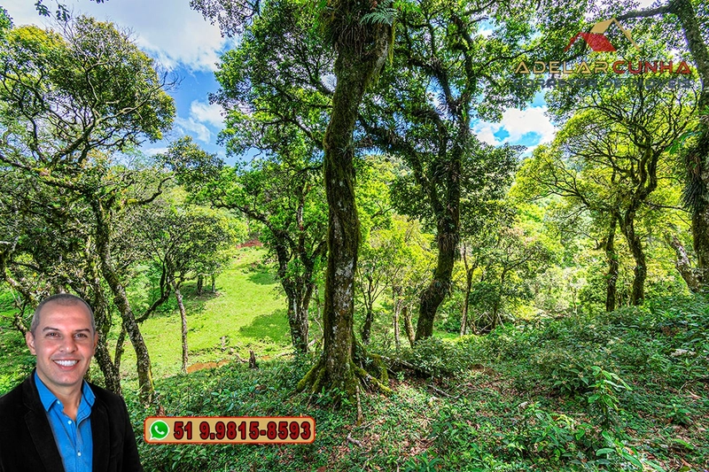 Chácara de 2 hectares à VENDA em São Francisco de Paula - RS: 28ª foto da galeria de imagens do imóvel