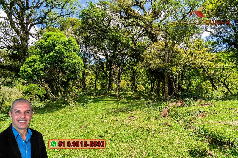 Chácara de 2 hectares à VENDA em São Francisco de Paula - RS: 6ª foto da galeria de imagens do imóvel