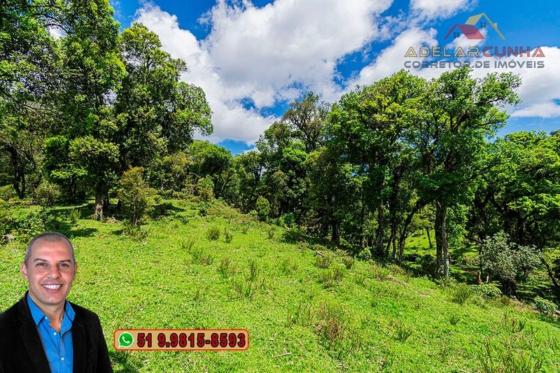 Chácara de 2 hectares à VENDA em São Francisco de Paula - RS: 41ª foto da galeria de imagens do imóvel