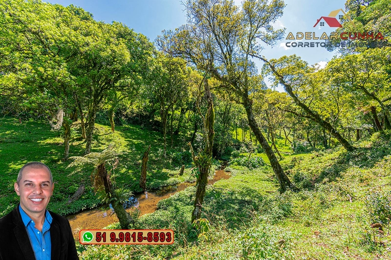 Chácara de 2 hectares à VENDA em São Francisco de Paula - RS: 63ª foto da galeria de imagens do imóvel