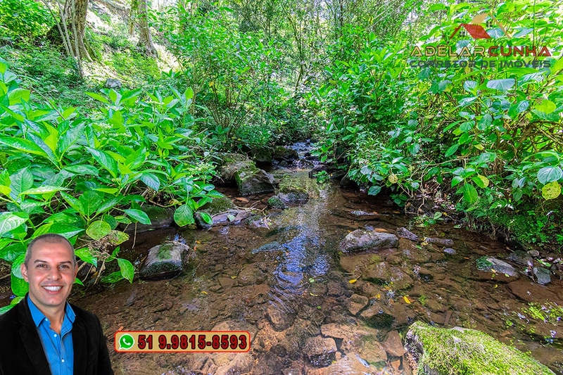 Chácara de 2 hectares à VENDA em São Francisco de Paula - RS: 61ª foto da galeria de imagens do imóvel