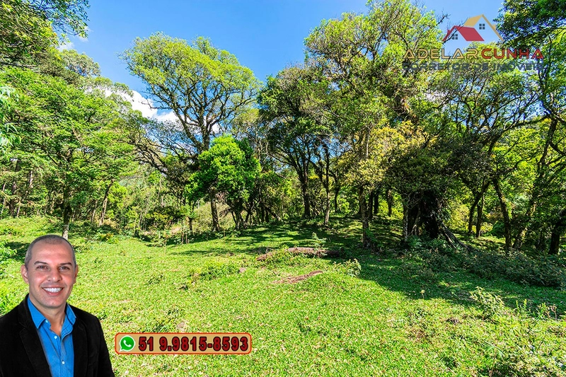Chácara de 2 hectares à VENDA em São Francisco de Paula - RS: 5ª foto da galeria de imagens do imóvel