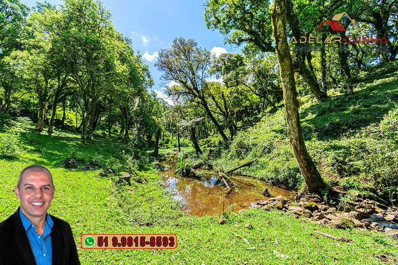 Chácara de 2 hectares à VENDA em São Francisco de Paula - RS: 64ª foto da galeria de imagens do imóvel