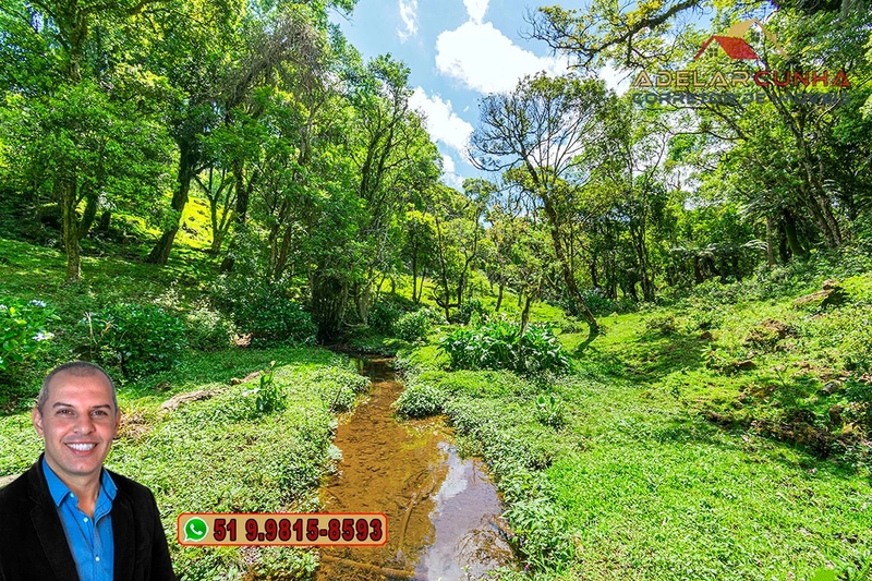Chácara de 2 hectares à VENDA em São Francisco de Paula - RS: 55ª foto da galeria de imagens do imóvel