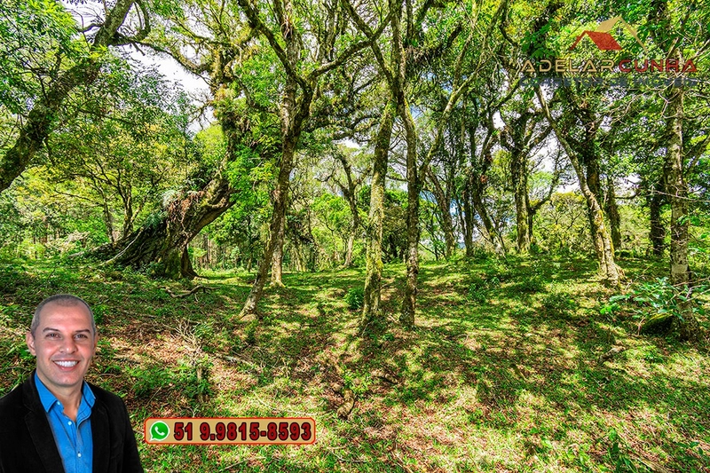 Chácara de 2 hectares à VENDA em São Francisco de Paula - RS: 13ª foto da galeria de imagens do imóvel