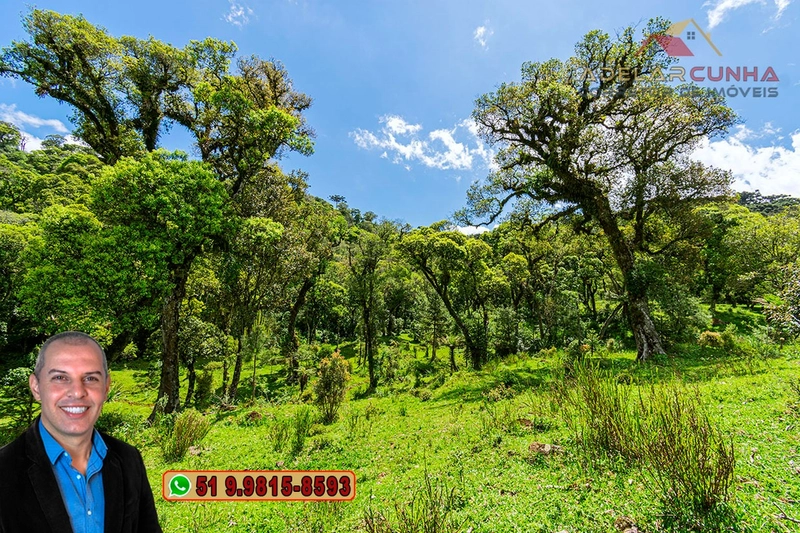 Chácara de 2 hectares à VENDA em São Francisco de Paula - RS: 53ª foto da galeria de imagens do imóvel