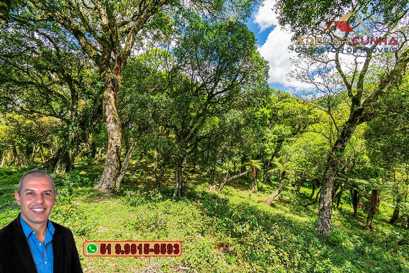 Chácara de 2 hectares à VENDA em São Francisco de Paula - RS: 10ª foto da galeria de imagens do imóvel