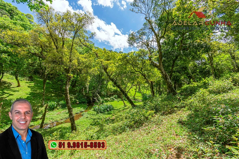 Chácara de 2 hectares à VENDA em São Francisco de Paula - RS: 39ª foto da galeria de imagens do imóvel