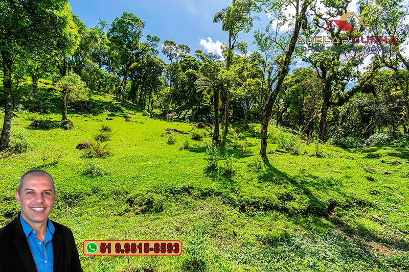 Chácara de 2 hectares à VENDA em São Francisco de Paula - RS: 67ª foto da galeria de imagens do imóvel