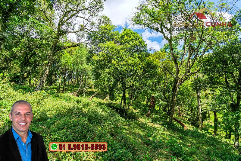 Chácara de 2 hectares à VENDA em São Francisco de Paula - RS: 43ª foto da galeria de imagens do imóvel